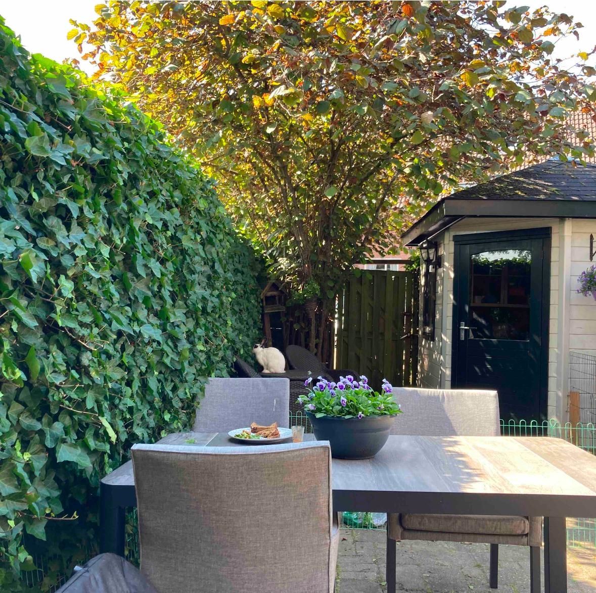 Foto 33 van Schouw 89