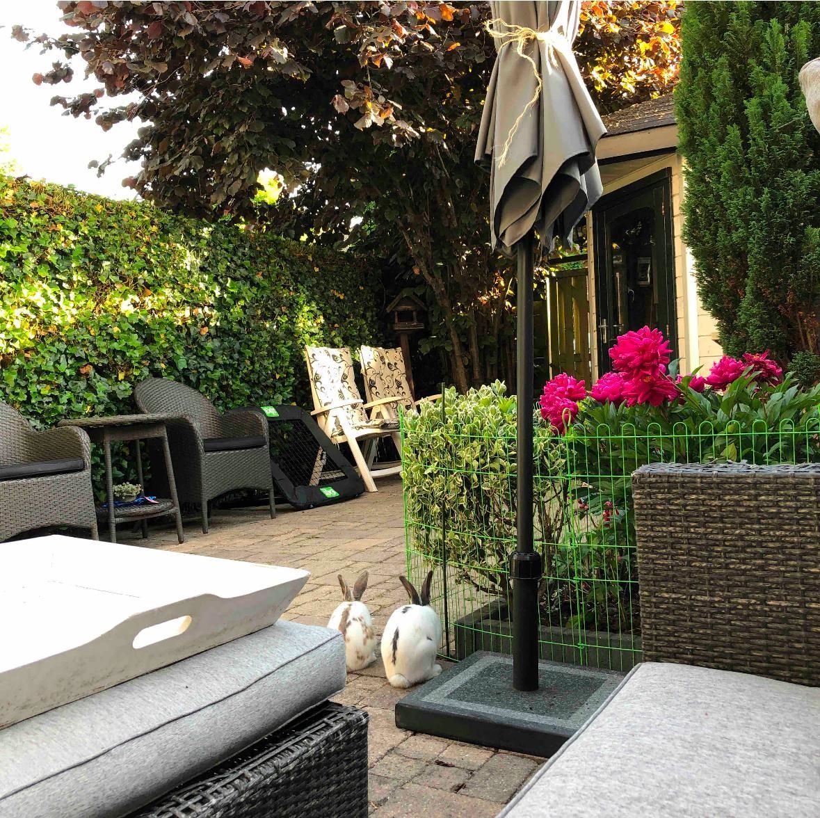 Foto 34 van Schouw 89