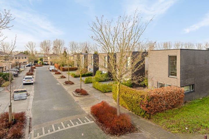 Foto 38 van Hans Lodeizenstraat 68