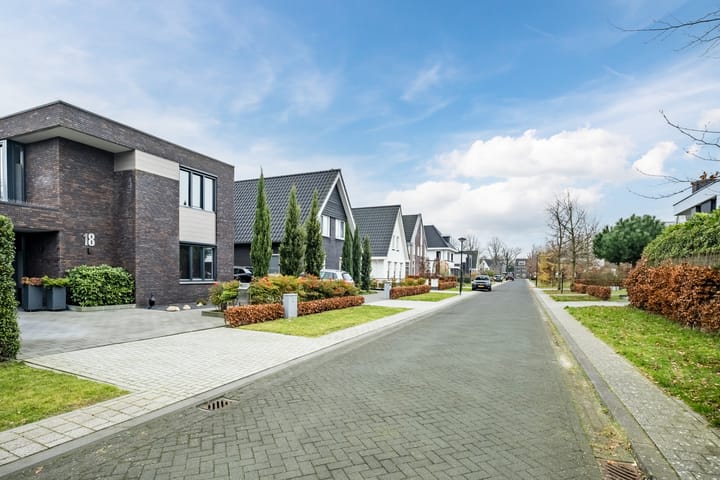 Foto 9 van Waterjuffer 18