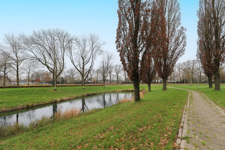 Foto 50 van Malvert 6273