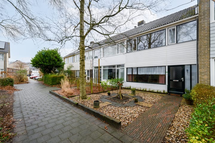 Foto 1 van Hunze 150