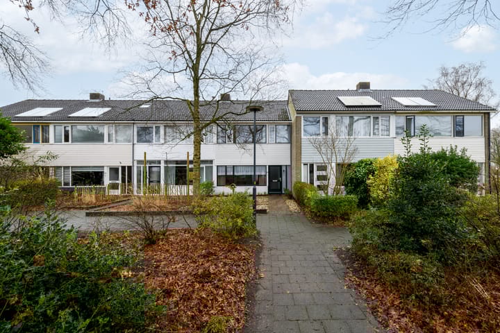 Foto 2 van Hunze 150