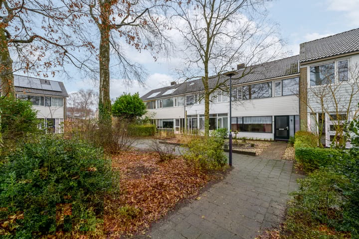 Foto 35 van Hunze 150