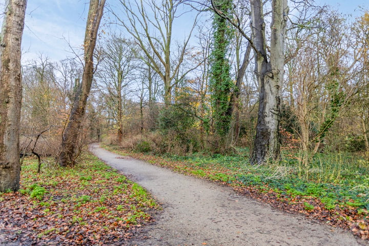 Bekijk foto 50 van Kennemerstraatweg 126