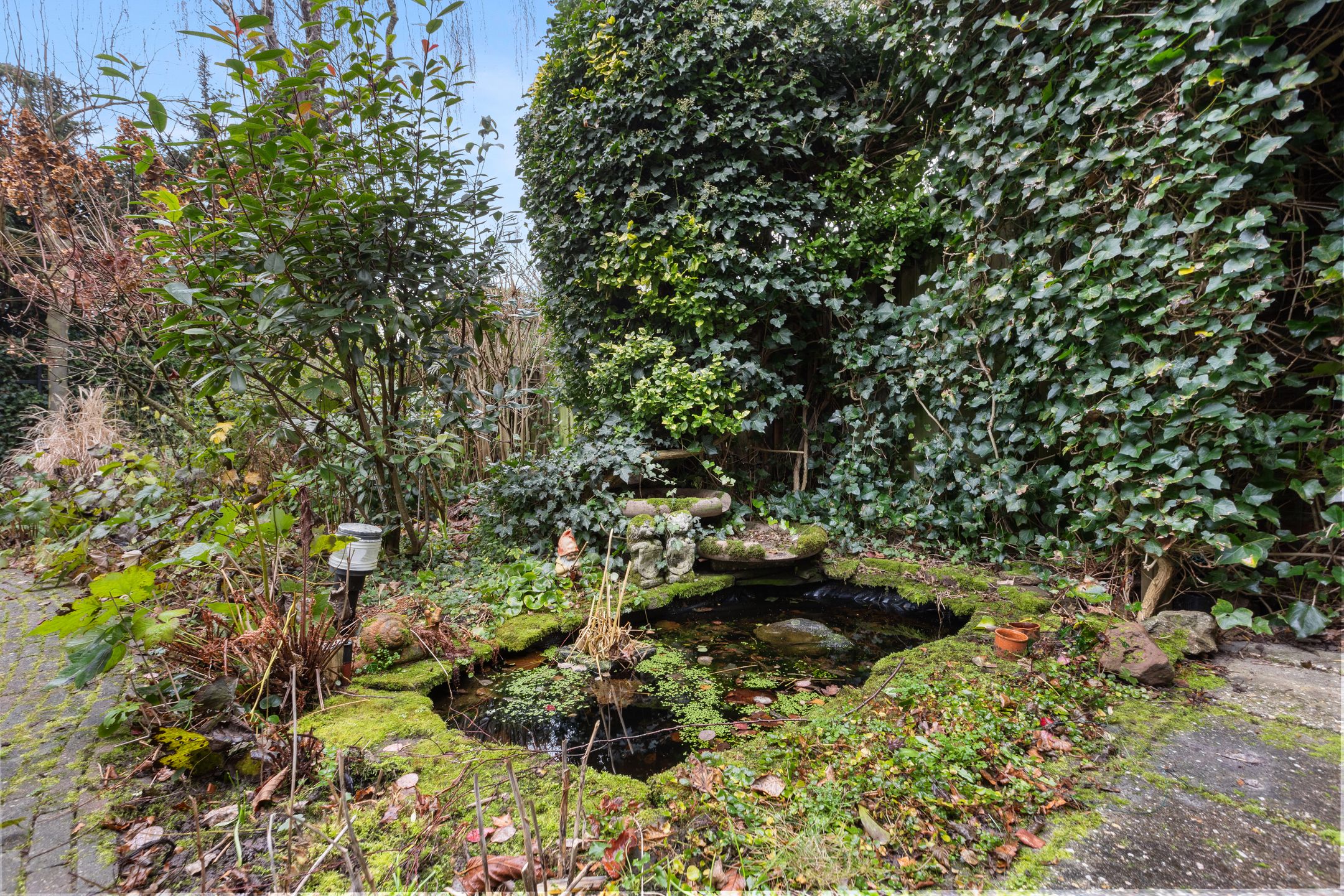 Foto 42 van Wilhelminastraat 9