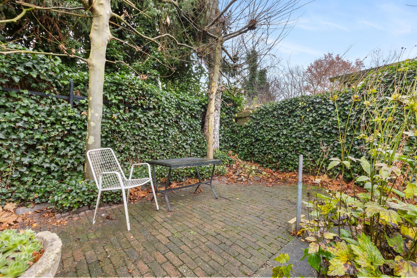 Foto 44 van Wilhelminastraat 9