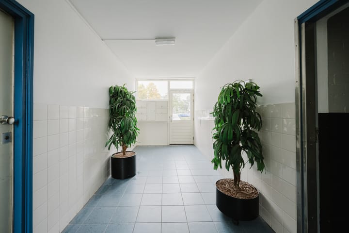 Photo 6 of Lobeliastraat 43-B