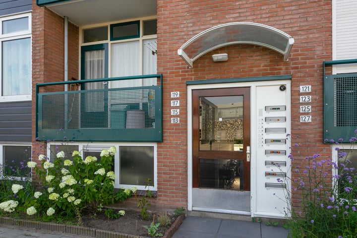 Bekijk foto 30 van Keizer Frederikstraat 117