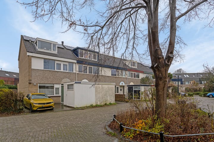 Foto 5 van Gerberaduin 4