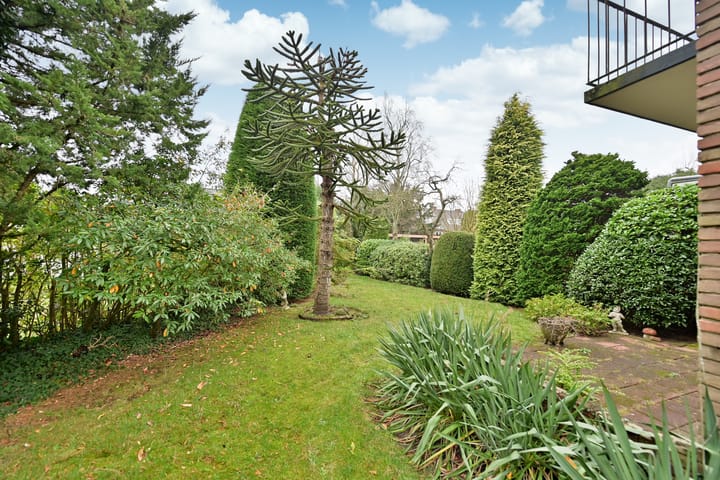 Foto 15 van Lijsterlaan 371