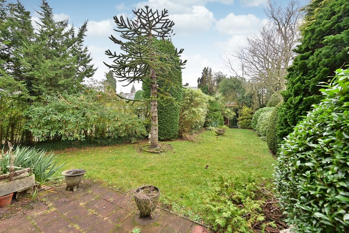 Foto 16 van Lijsterlaan 371