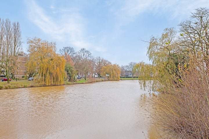 Bekijk foto 32 van Schimmelpenninckstraat 5-B