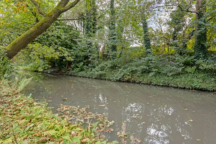 Foto 37 van Robbeknolerf 41