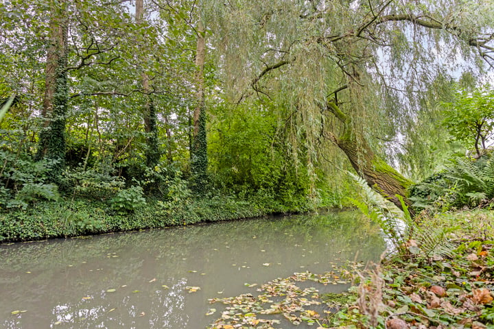 Bekijk foto 38 van Robbeknolerf 41