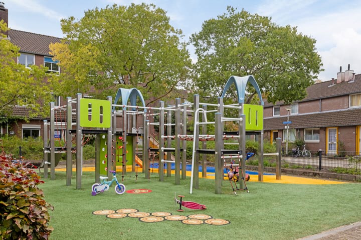 Foto 39 van Robbeknolerf 41