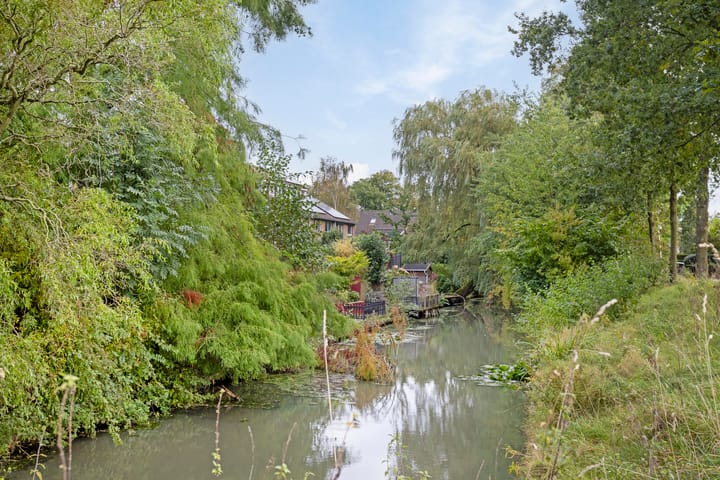 Foto 41 van Robbeknolerf 41