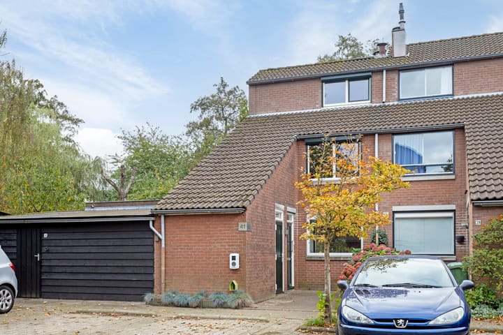 Foto 43 van Robbeknolerf 41