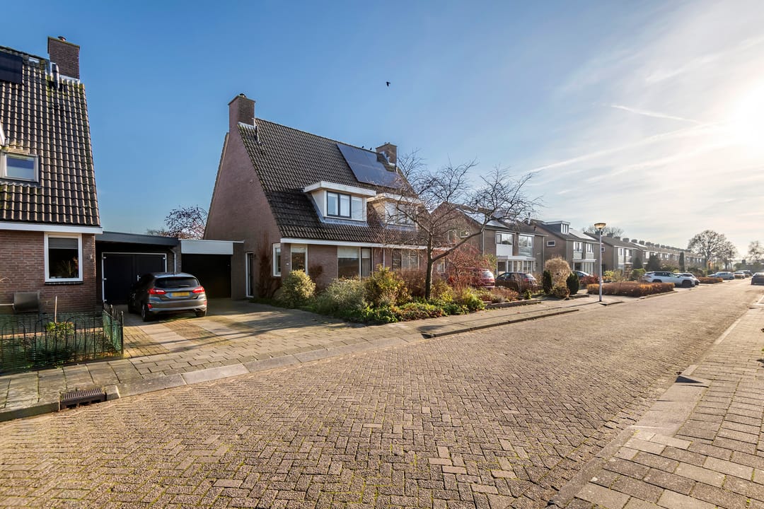 Photo 31 of Bingse Boogaard 19