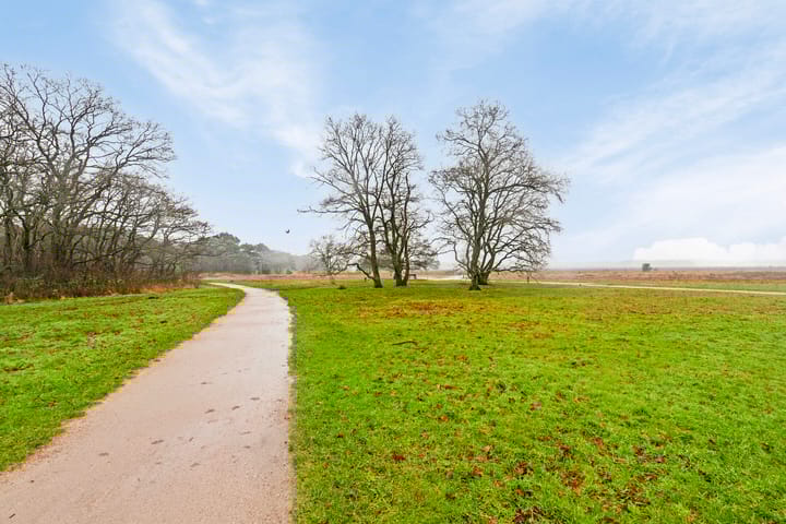 Foto 21 van Amaliagaarde 36