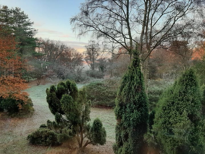 Foto 30 van Amaliagaarde 36