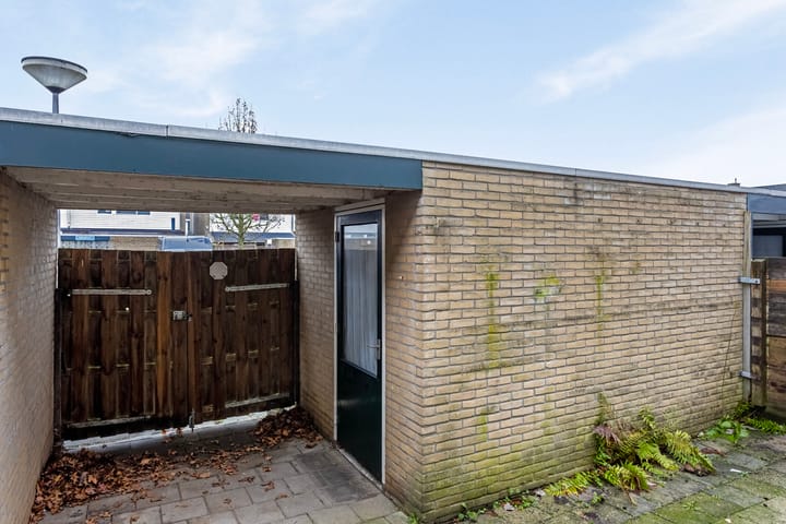 Foto 3 van Schierstins 20