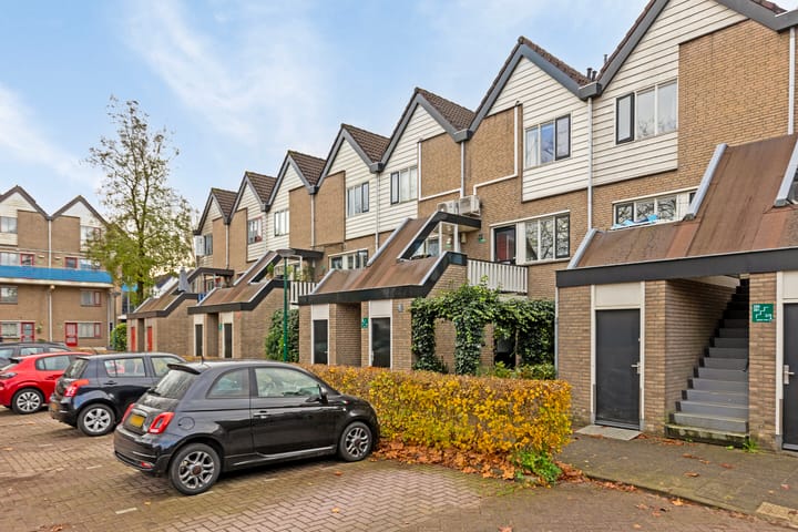 Foto 1 van Antilopespoor 382