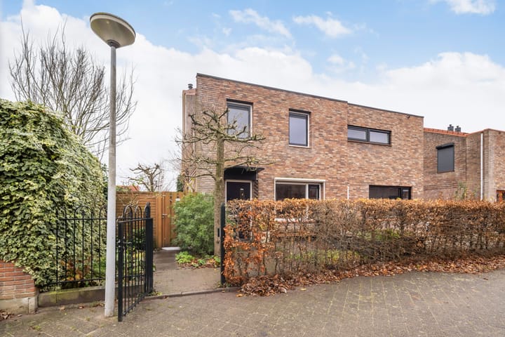 Foto 1 van Akkerdistel 7