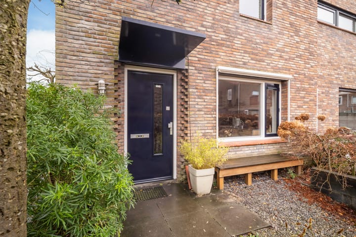 Foto 4 van Akkerdistel 7