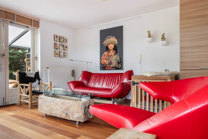 Foto 8 van Akkerdistel 7