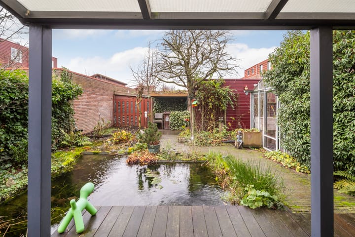 Foto 18 van Akkerdistel 7