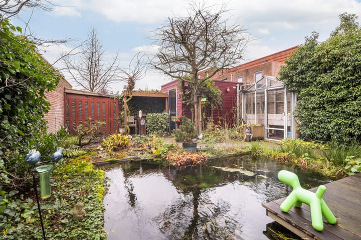 Foto 21 van Akkerdistel 7