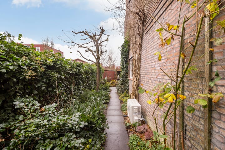 Foto 24 van Akkerdistel 7