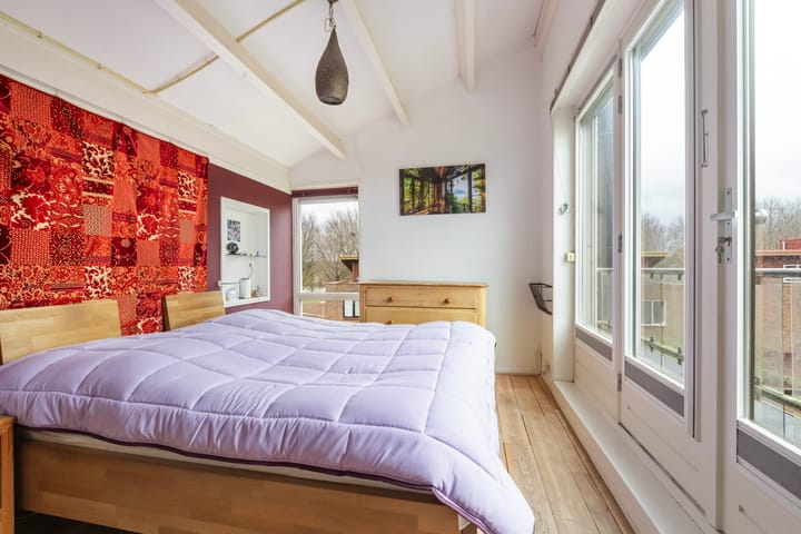 Foto 39 van Akkerdistel 7