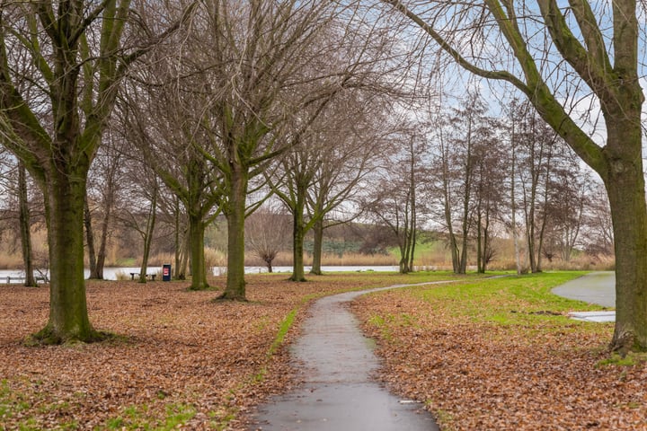 Bekijk foto 44 van Akkerdistel 7