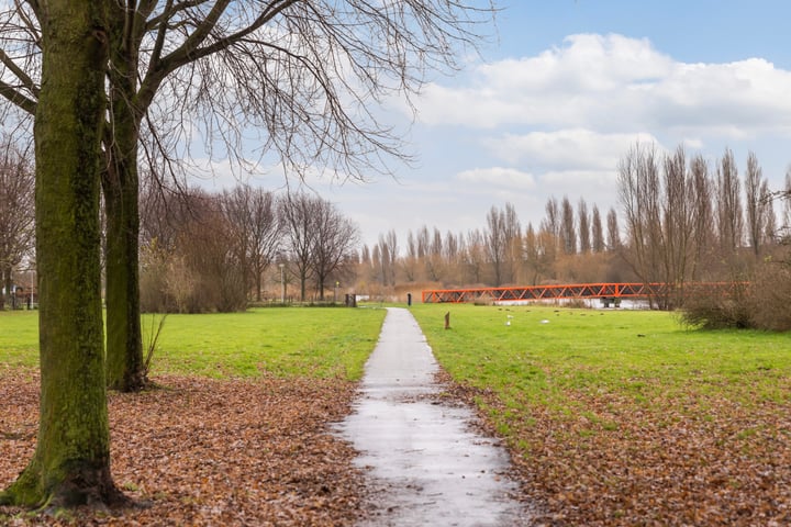 Bekijk foto 45 van Akkerdistel 7