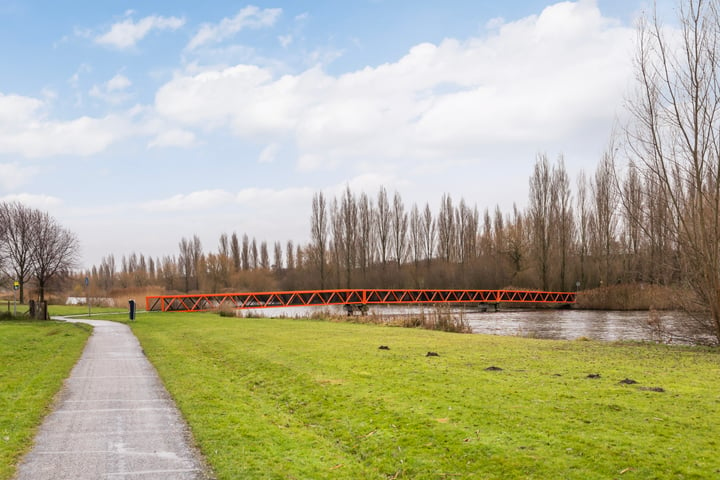 Bekijk foto 47 van Akkerdistel 7