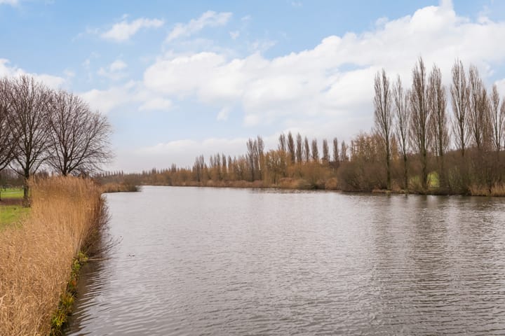 Foto 46 van Akkerdistel 7