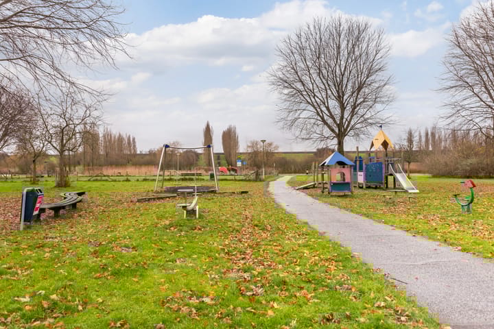 Foto 47 van Akkerdistel 7