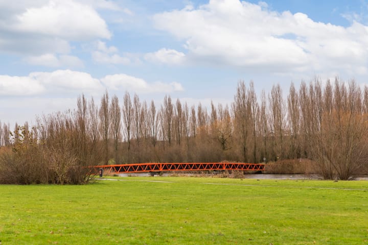 Foto 48 van Akkerdistel 7