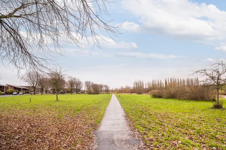 Foto 49 van Akkerdistel 7