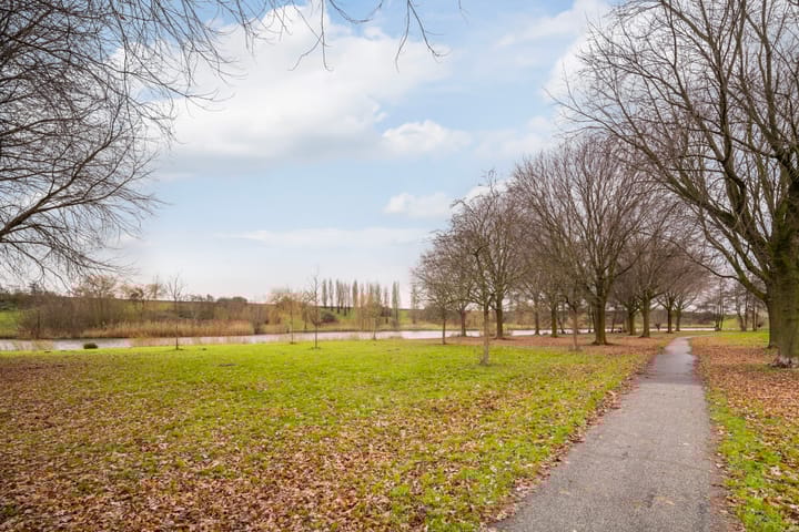 Foto 50 van Akkerdistel 7