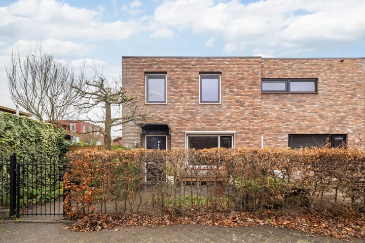 Foto 52 van Akkerdistel 7