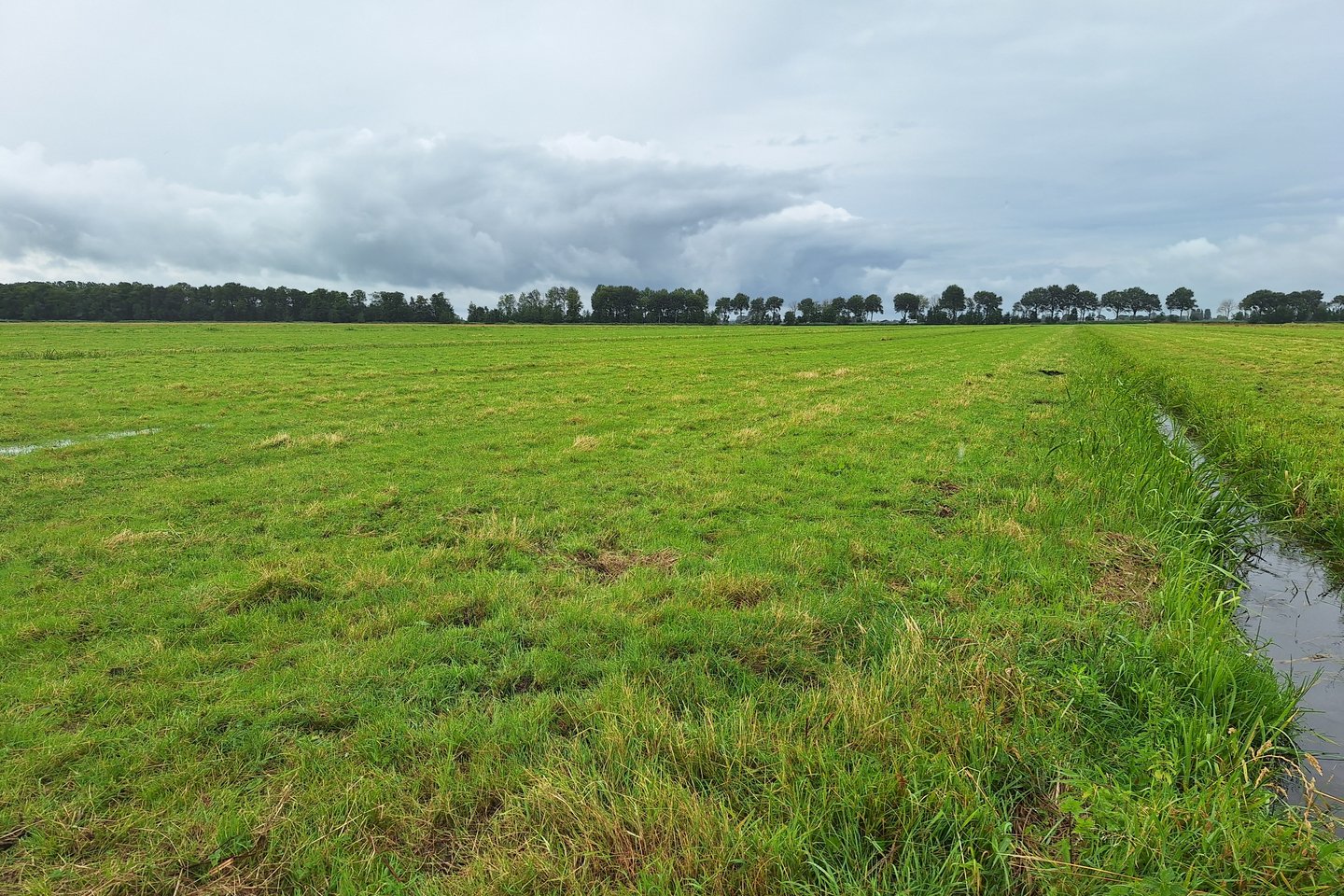 Bekijk foto 3 van Broekseweg