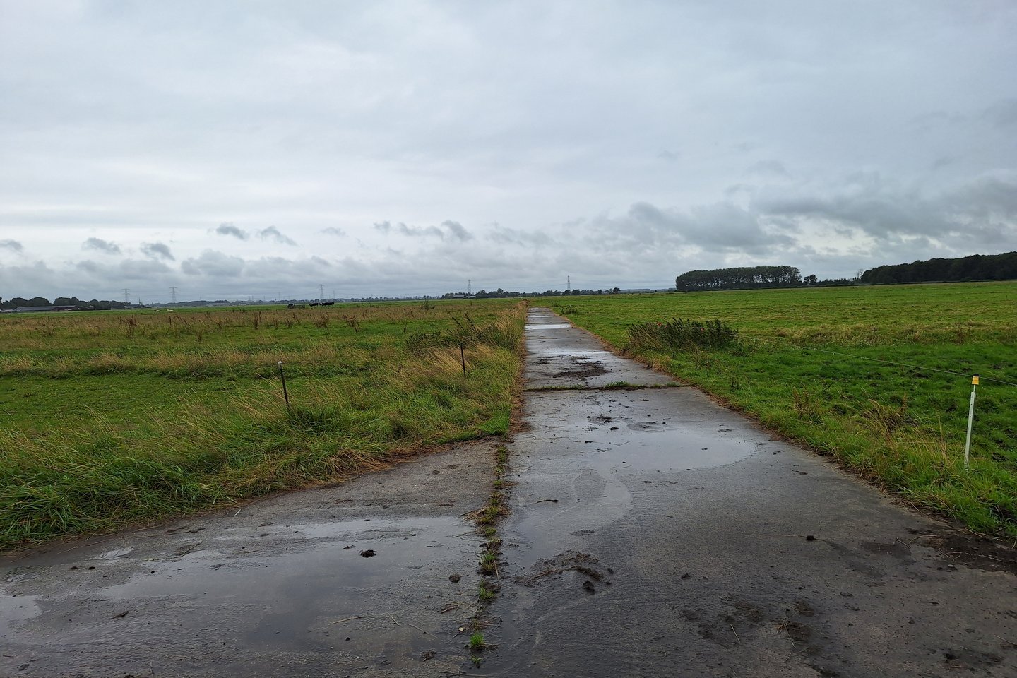 Bekijk foto 4 van Broekseweg