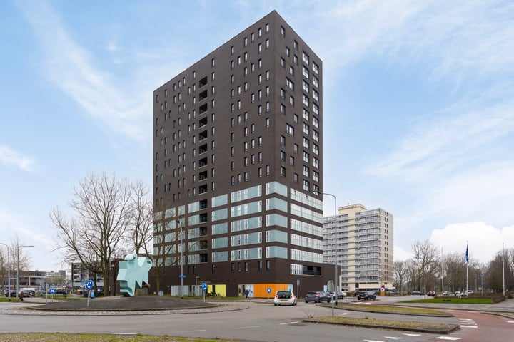 Bekijk foto 1 van Siersteenlaan 468-46