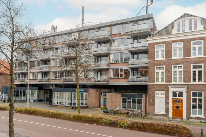 Bekijk foto 3 van Biltstraat 351