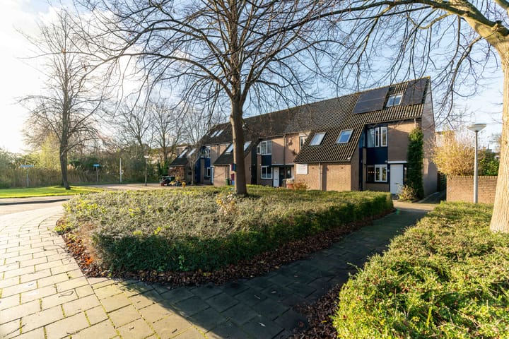 Foto 1 van Tripolipad 2