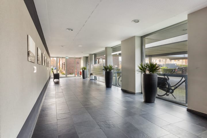 Foto 5 van De Malus 217