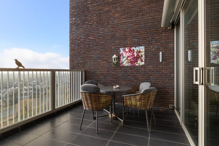 Foto 17 van De Malus 217